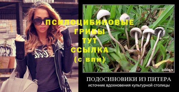 apvp Бронницы