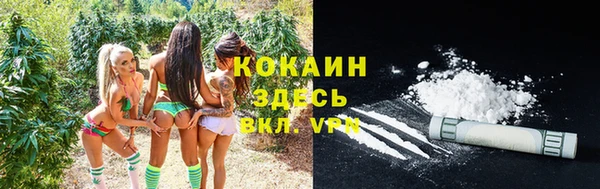 соль ск Бородино