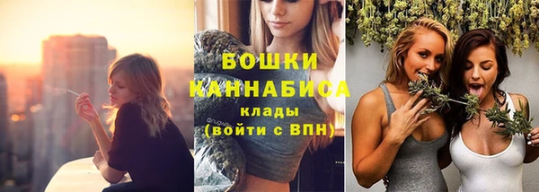 соль ск Бородино