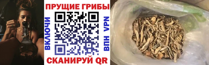 ОМГ ОМГ как войти  купить  сайты  Новосокольники  Псилоцибиновые грибы мухоморы 